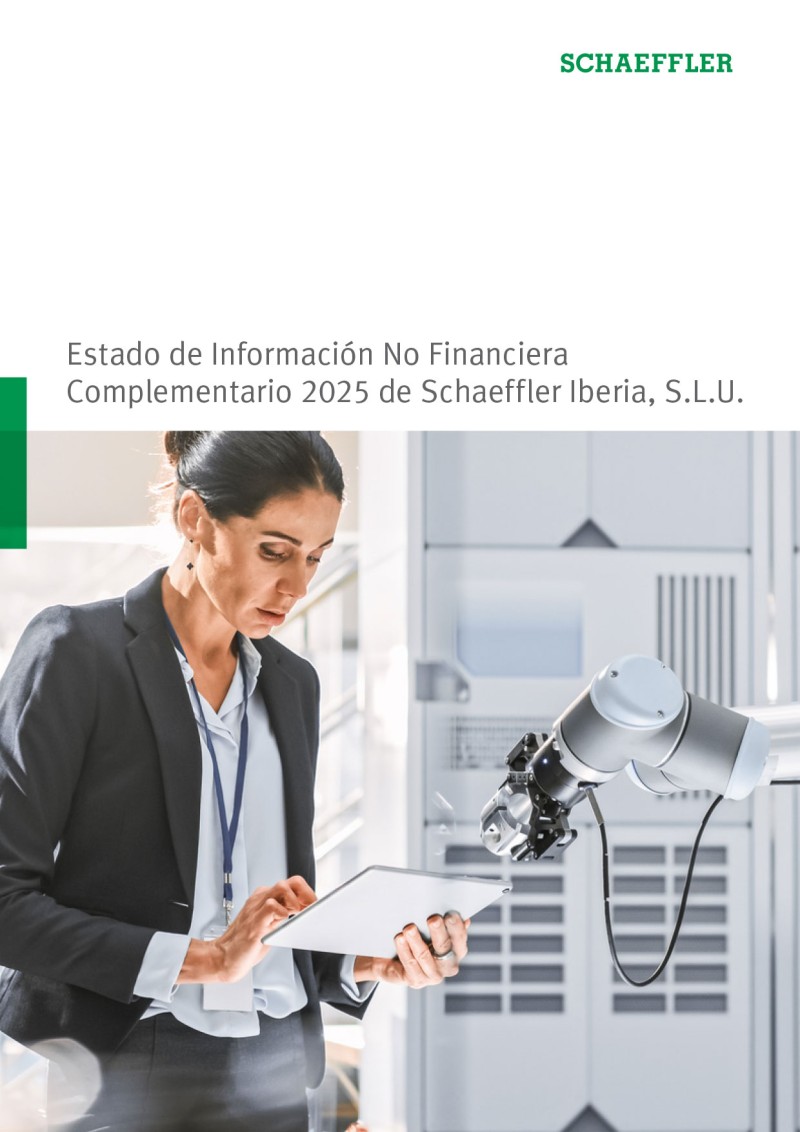 estado de informacion no financiera 2025