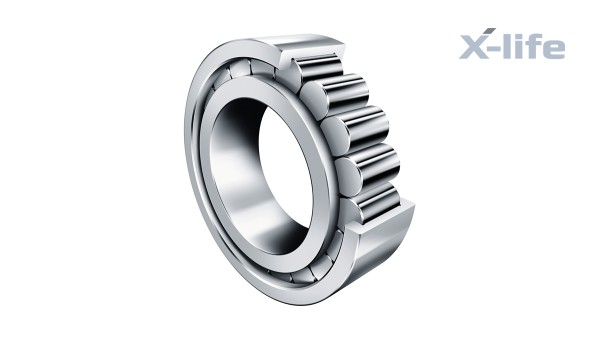Rodamientos y casquillos de fricción Schaeffler: Rodamientos de rodillos cilíndricos sin jaula